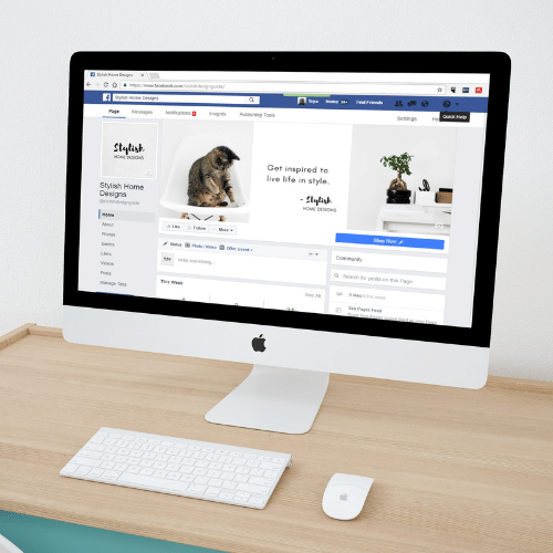 Google Ads optimization in Greater Noida